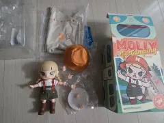 ポップマート キャンプMOLLY BJD