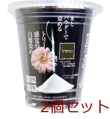 黒艶なでしこ NS カラークリームシャンプー ダークブラウン 250g×2袋