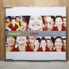 国内盤CD☆ディック・リー/Dick-Lee□ マッド・チャイナマン 【WMC525