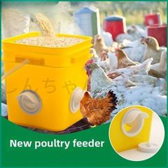 Item thumbnail for item cead12dd-0456-4b61-820c-8dad3cb97862