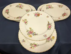 2025年最新】ロイヤルウースター ロアノークの人気アイテム - メルカリ