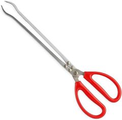 Item thumbnail for item 0b0bf862-9dcc-4dbc-b5e1-4bb1334eb8b4