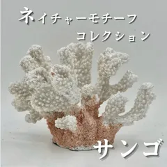 2025年最新】珊瑚置物の人気アイテム - メルカリ