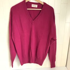 カシミヤ　cashmere 100% Vネックセーター　(L)         …e.s