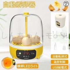 Item thumbnail for item 42c314ae-12b7-44a3-931b-5f6247f481d3