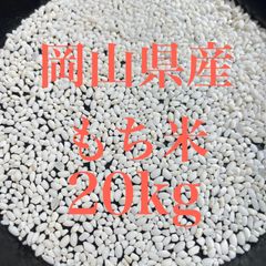 もち米25キロ/令和7年産 千葉県産 幻の白い古代米/購入後籾摺り精米
