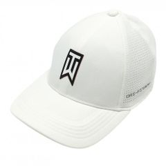 Item thumbnail for item 8ea07c2b-8c8a-4d7e-8caf-3e69abfea874