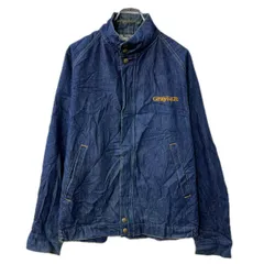 USA製 Swingster デニムジャケット L ブルー ボタン ラグラン ロゴ 刺繍プリント アウター 春物 a712-5351