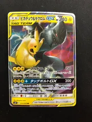 2025年最新】ピカチュウ&ゼクロムGX rrの人気アイテム - メルカリ
