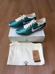 ナイキ 30周年 ティエンポ レジェンド10 AG-PRO 29.5cm