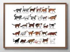 00350猫の品種コレクション A3 サイズ ポスター アート おしゃれ 絵画 インテリア 北欧 イラスト マット紙 艶消し アートパネル 額 フレーム デザイン 壁掛け ギフト 新築祝い ディスプレイ 