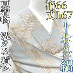 裄68cm【特選の単衣】 上品な【蘇州刺繍】の小紋 【トールサイズ 