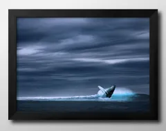 2025年最新】KUZIRA ポスターの人気アイテム - メルカリ