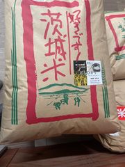 福島県産 こしひかり 100% 20kg 令和7年 新米 送料無料 - メルカリ
