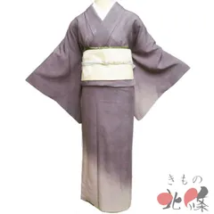 【単衣】オリエンタルな雰囲気の訪問着◇新品未使用 正絹 正絹単衣天目織さがみ謹製訪問着