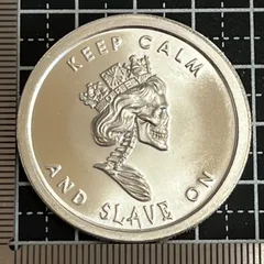 2026年最新】ファインシルバー999の人気アイテム - メルカリ