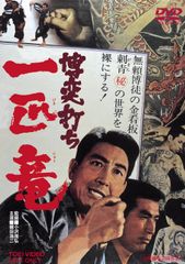 お宝の決定版/未使用/赤影/魔風篇/坂口祐三郎直筆サイン入り DVD 