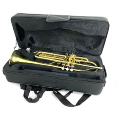 Item thumbnail for item b2a96e30-3e8e-4bd9-81b8-f9c8bf1bd044