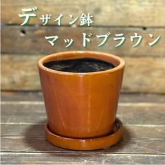 新品 マテ茶器 グアンパ 聖なる木パロサント使用 - メルカリ