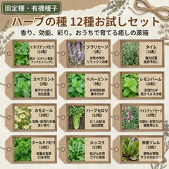 🍃ハーブ　16種+おまけ1種お試し少量セット  固定種 🌿 有機種子 🌿 ミント レモンバーム タイム セージ カモミール ルッコラ パセリ ハーブティー 料理 虫除け 家庭菜園 種子 種 ベランダ 水耕栽培 無農薬 リラックス 美容 健康 自然農