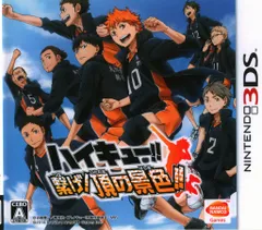3DS ハイキュー!! 繋げ!頂の景色!! 通常版