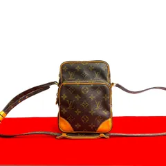 極 美品 LOUIS VUITTON ルイヴィトン アマゾン モノグラム ロゴ 柄 レザー 本革 ショルダーバッグ ポシェット ブラウン 茶  73273