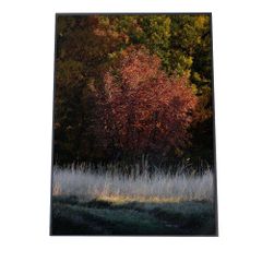 中村岳陵、残照、希少画集画、新品高級額装付 - メルカリ
