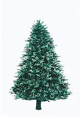 【数量限定】タペストリー もみの木 壁掛け クリスマス 飾り クリスマスデコレーション Merry クリスマスツリー Christmas クリスマスデコレーション クリスマスツリー ツリー ポットツリー 飾り クリスマス 飾り ノエル ヌードツリー クリスマス