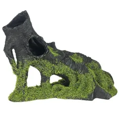 2026年最新】木の根 オブジェの人気アイテム - メルカリ