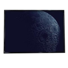 映画ポスター B1 片面 ブゴニア エマストーン アリアスター 非売品