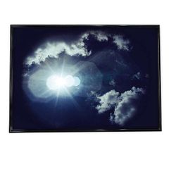 映画ポスター B1 片面 ブゴニア エマストーン アリアスター 非売品
