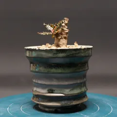 2025年最新】ボスウェリア ナナの人気アイテム - メルカリ