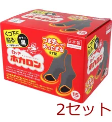 ロッテ ホカロン くつ下に貼るタイプ 黒 15足入 4903336264114 ×2セットのサムネイル