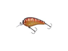 エバーグリーン カレイド セルペンティ TKSS-67XM ガルネリウス