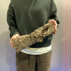 2025年最新】ビカクシダ の人気アイテム - メルカリ