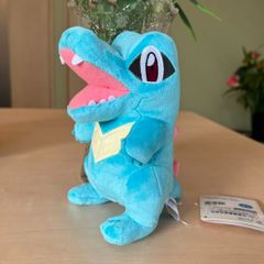 ポケモンセンター タグ付き！ワニノコ ぬいぐるみ - メルカリ