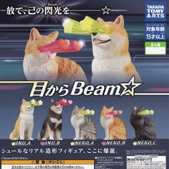 目からBeam☆ タカラトミーアーツ 【全5種セット(フルコンプ)】 犬 猫 動物グッズ フィギュア ガチャガチャ カプセルトイ【即納 在庫品】【数量限定】【フルコンプリート】