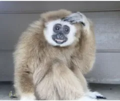 配送(※メルカリshop取引では対象外)