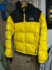 THE NORTH FACE ザノースフェイス ヌプシ700 ダウン