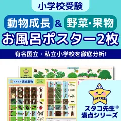 小学校受験 お風呂ポスター 季節 野菜 果物 理科的常識 自然科学 お受験 知育 スタコ先生のサムネイル