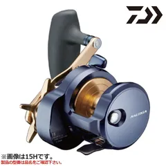 【現品限り】 ダイワ ジギングリール ソルティガ 15S 右 22年モデルのサムネイル