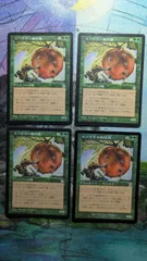 MTG　スパイクの飼育係　日本語4枚　まとめ売り