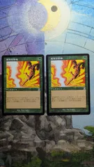 MTG　運命の回避　日本語2枚　まとめ売り