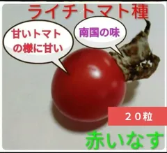 2025年最新】食用ほおずきの人気アイテム - メルカリ