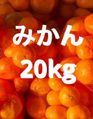 お得！大人気！20kg   九州甘いみかん