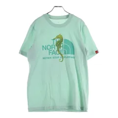 THE NORTH FACE (ザノースフェイス) フロントプリント クルーネック半袖Tシャツ ライトブルー