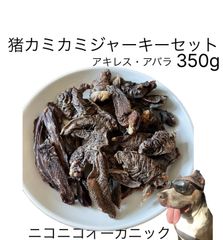 Item thumbnail for item 3b542347-e57d-42e0-8b9b-1c23b267874a