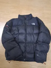 THE NORTH FACE 800フィルパワー SUMMIT ローツェダウン 110 (105 110)
