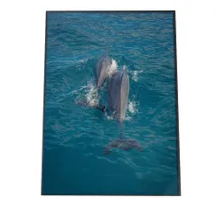 2025年最新】KUZIRA ポスターの人気アイテム - メルカリ