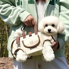 Item thumbnail for item 53f2b01e-0c6f-402f-8524-fad1f5021119